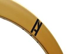 H+Son Formation Face - 700c - Gold NMSW