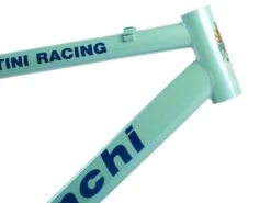 Bianchi MTB Frame - 22.5inch