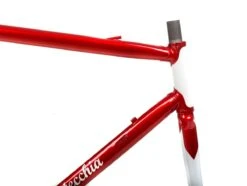 Bottecchia Road Frameset - 55cm -Bicycle Equip Store 0028236 bottecchia road frameset 55cm