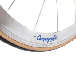 Campagnolo Shamal Rear Wheel - Silver