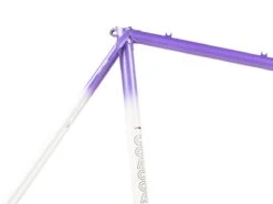 Concorde Aquila Frameset - 62cm