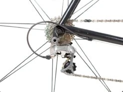 Pegoretti Great Googly Moogly Road Bike - Custom