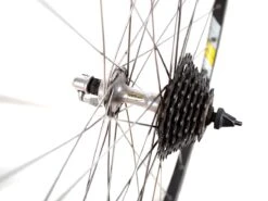 Campagnolo Omega X Shimano RX100 Wheelset -Bicycle Equip Store 0042138 campagnolo omega x shimano rx100 wheelset