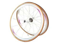 Campagnolo Shamal Titanium Wheel Set - Silver