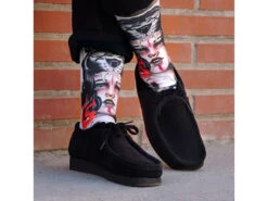 Pacific And Co - Amazona -Bicycle Equip Store 0043575 pacific and co amazona