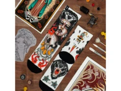 Pacific And Co - Amazona -Bicycle Equip Store 0043576 pacific and co amazona