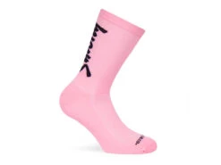 Pacific And Co - Stay Strong - Pink -Bicycle Equip Store 0043579 pacific and co stay strong pink