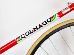 Colnago Pista Track Bike -Bicycle Equip Store 0047500 colnago pista track bike
